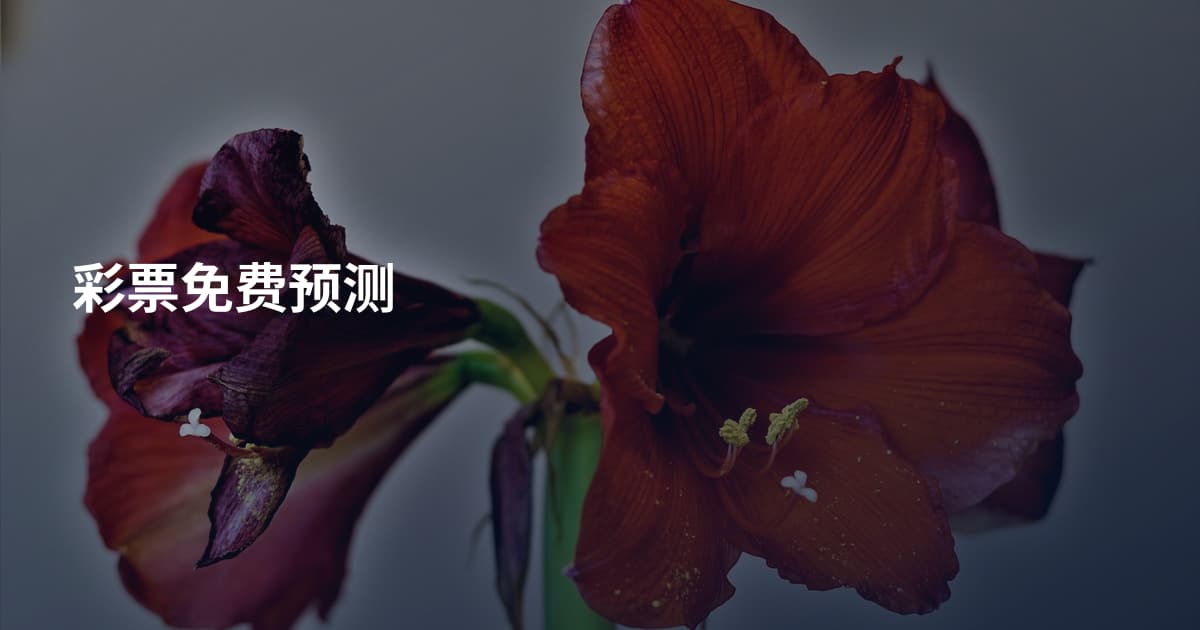 彩票免费预测