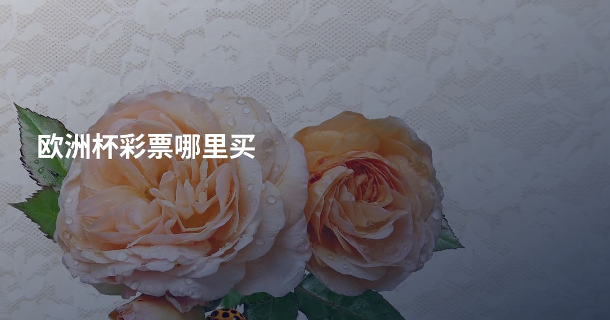 欧洲杯彩票哪里买