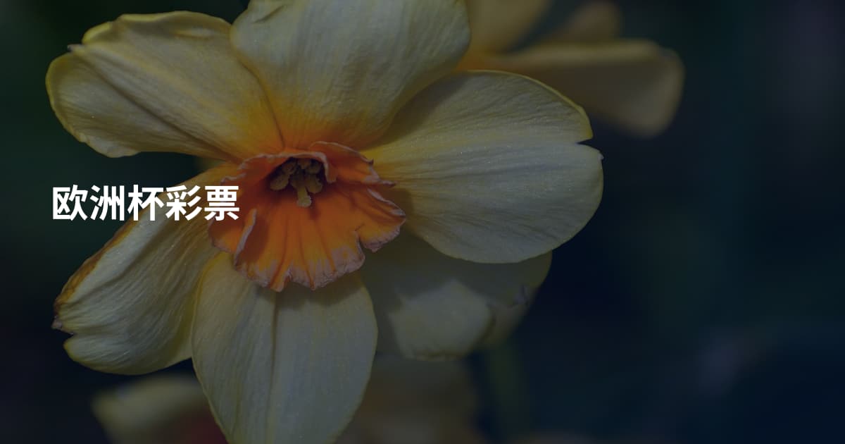 欧洲杯彩票