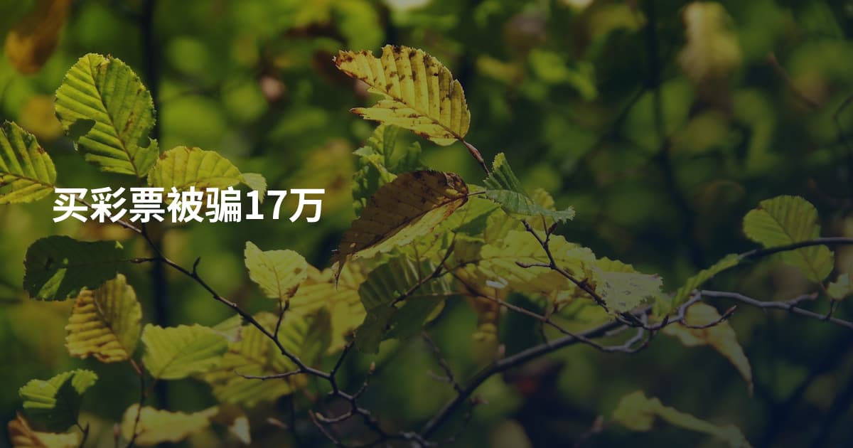 买彩票被骗17万