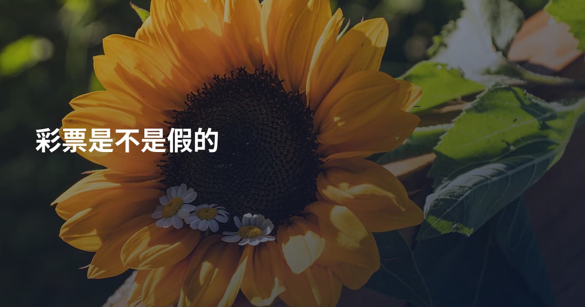 彩票是不是假的