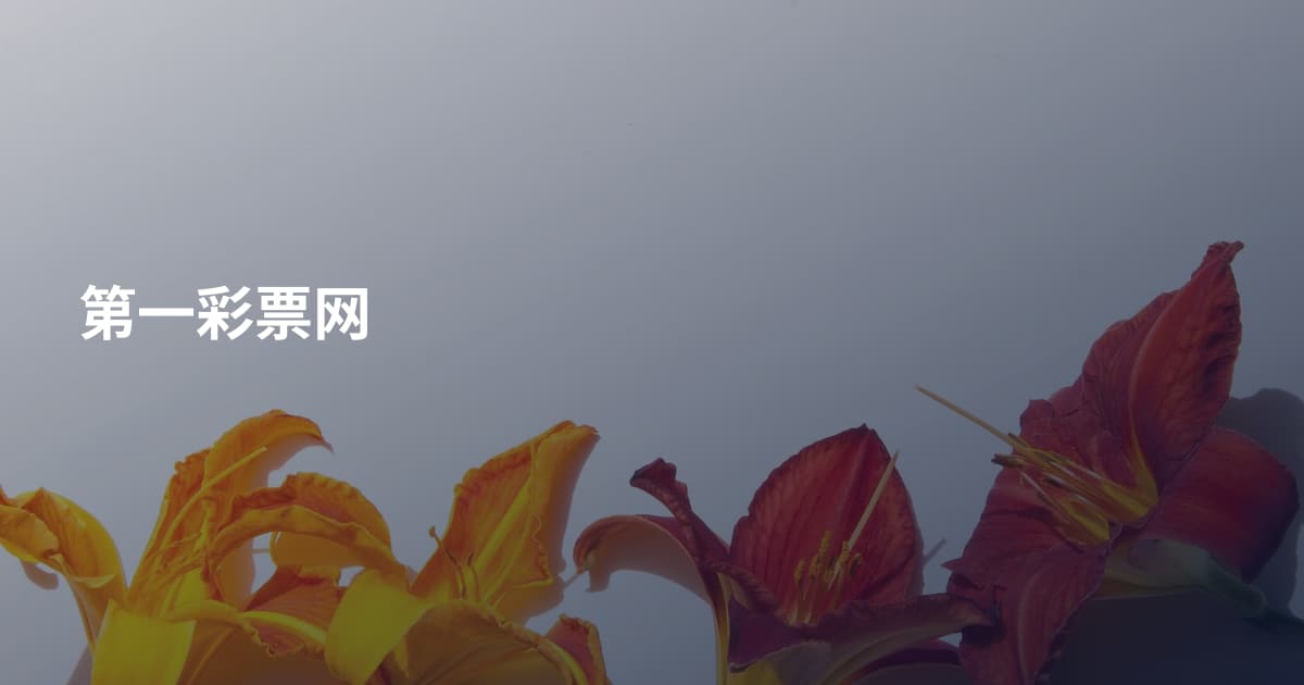 第一彩票网