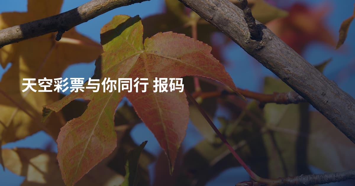 天空彩票与你同行 报码