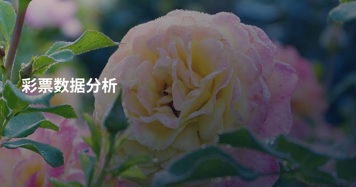 彩票数据分析