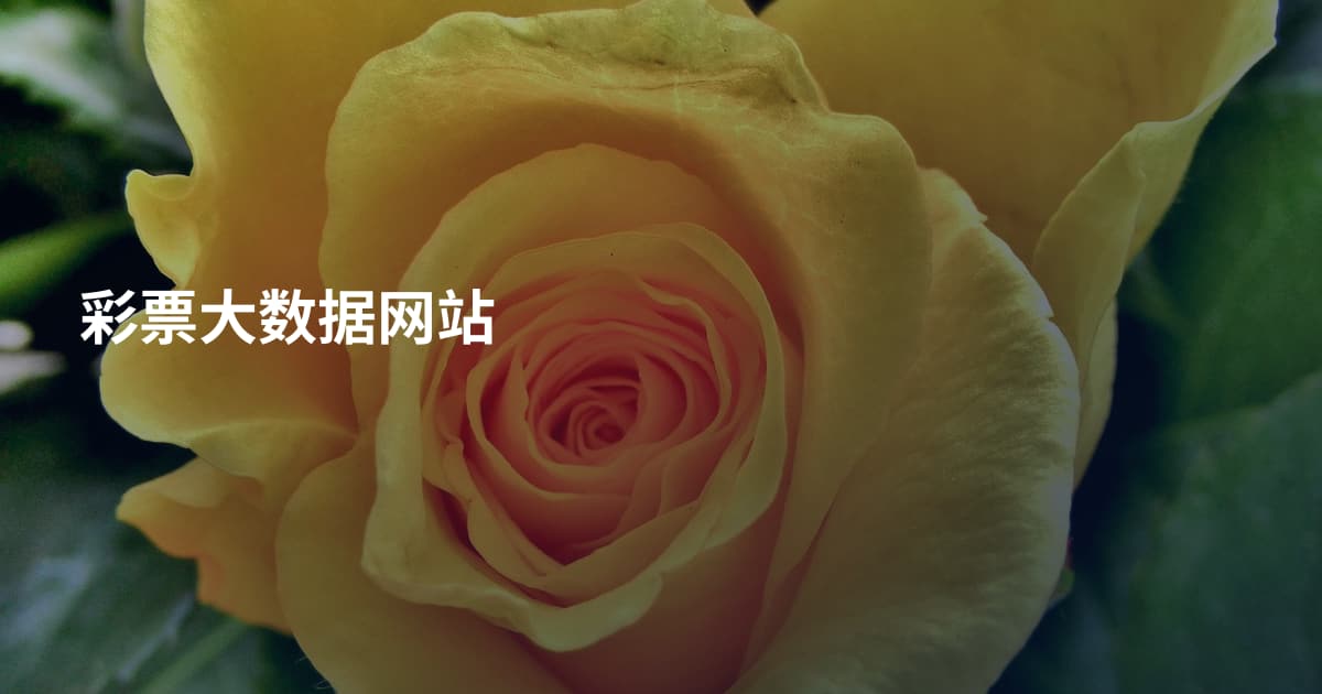 彩票大数据网站