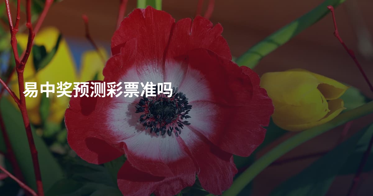 易中奖预测彩票准吗