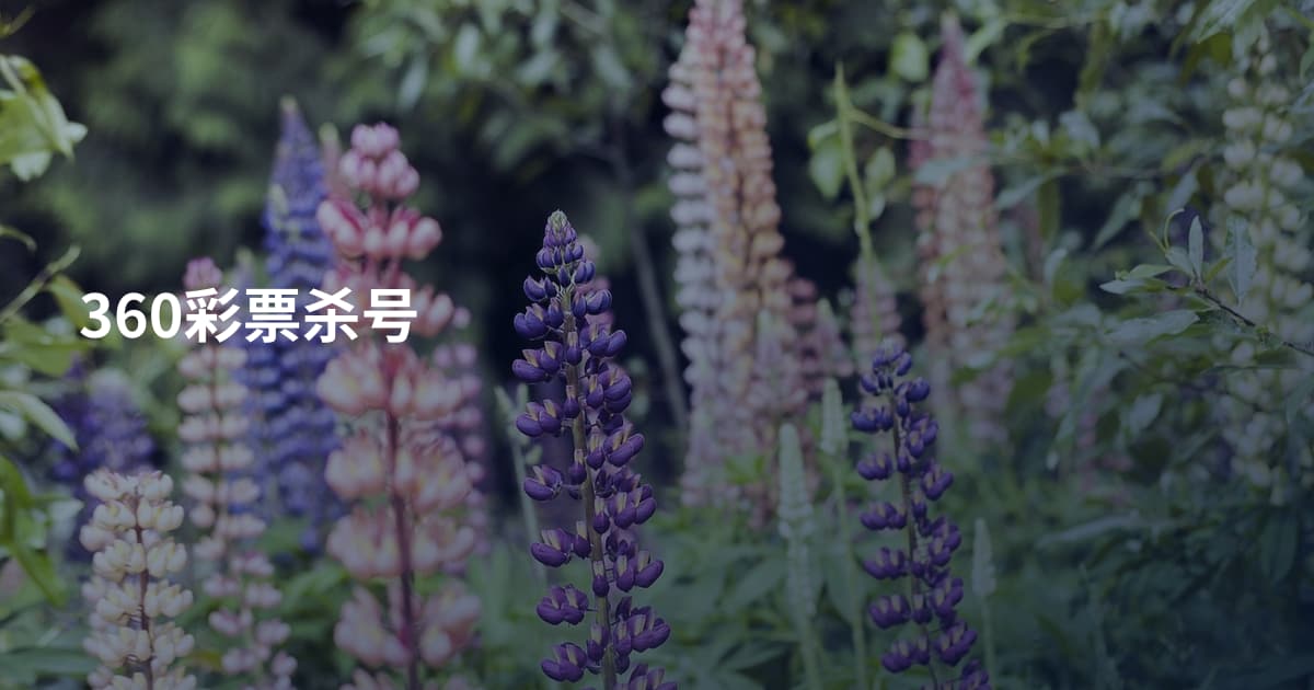 360彩票杀号