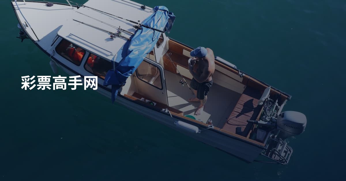 彩票高手网