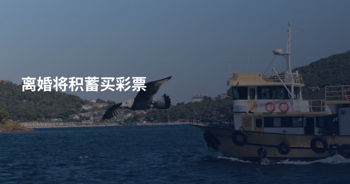 离婚将积蓄买彩票