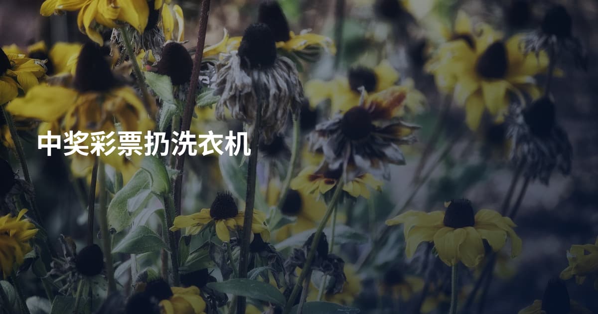 中奖彩票扔洗衣机