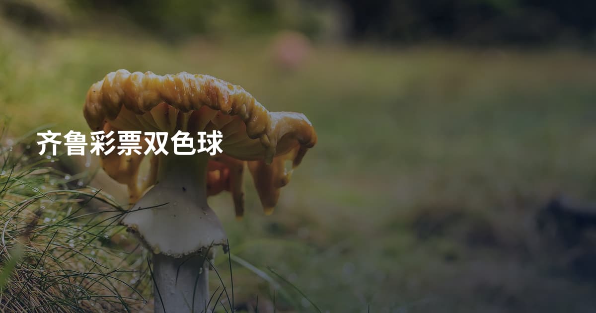 齐鲁彩票双色球
