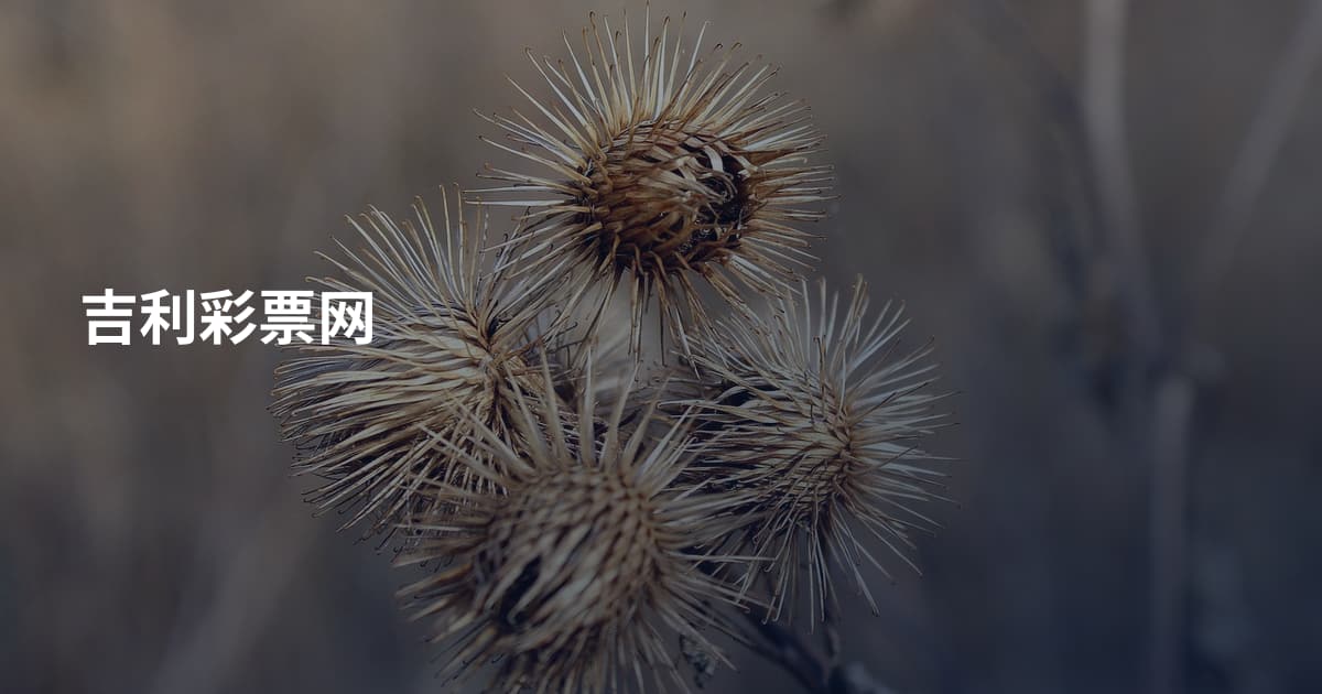 吉利彩票网