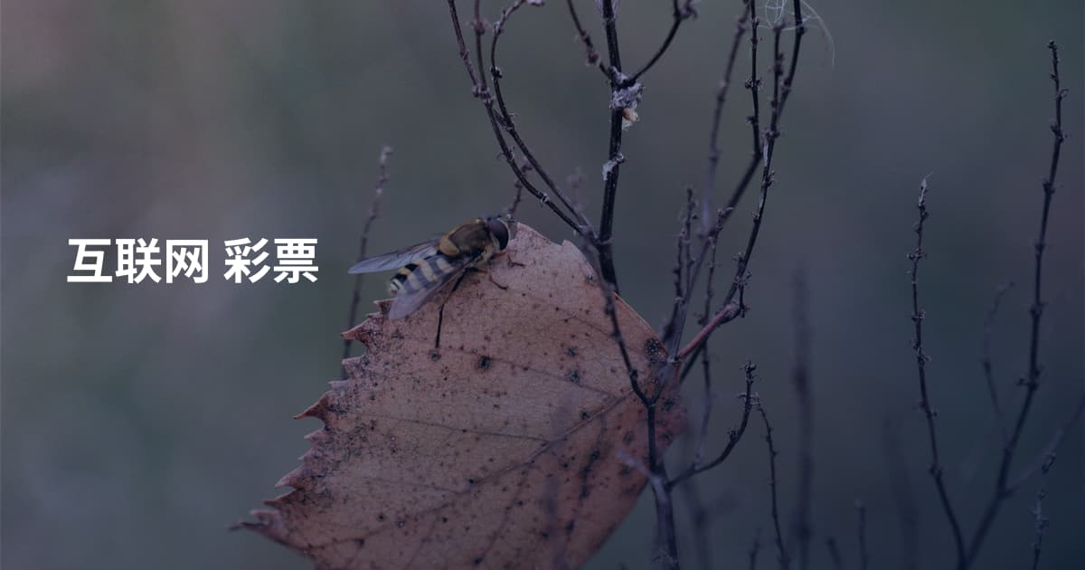 互联网 彩票