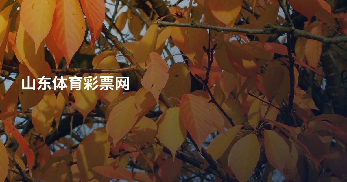 山东体育彩票网