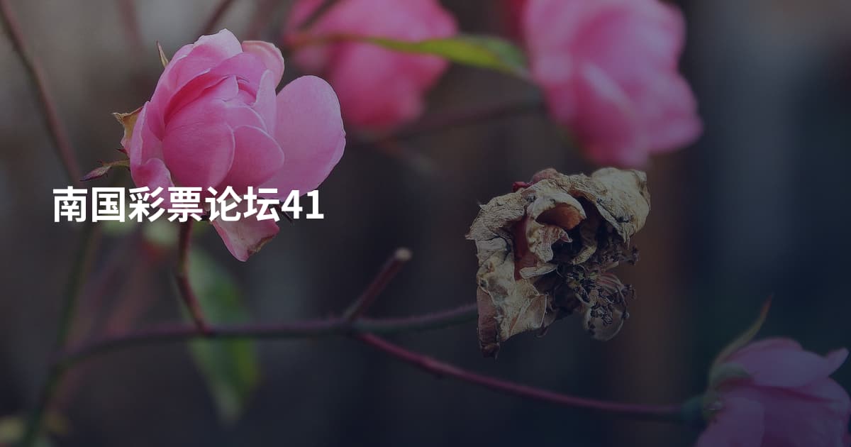 南国彩票论坛41