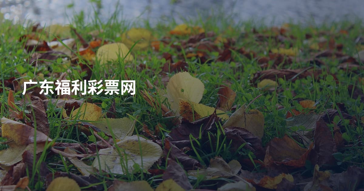 广东福利彩票网