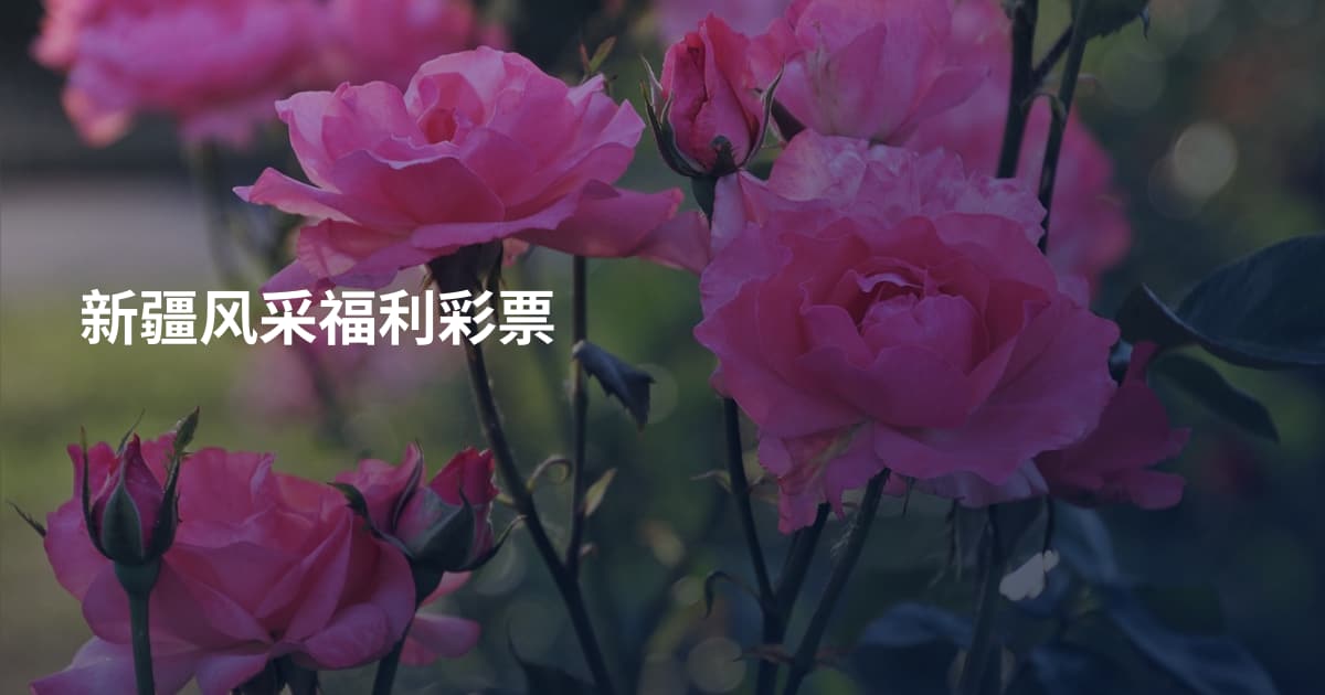 新疆风采福利彩票