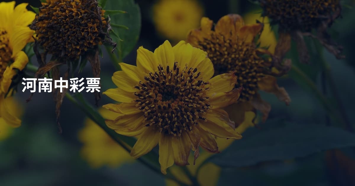 河南中彩票