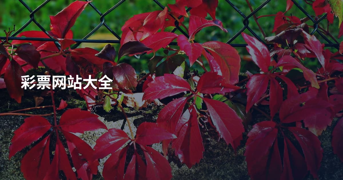 彩票网站大全