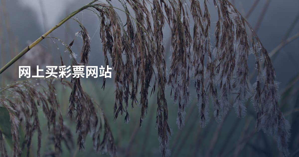 网上买彩票网站