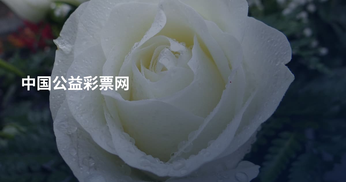 中国公益彩票网