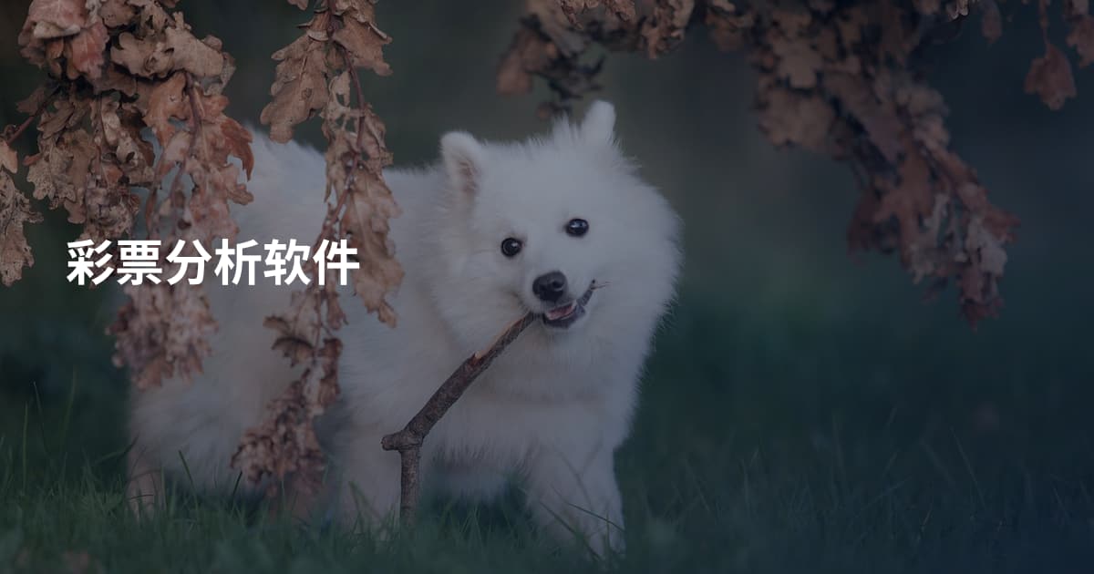 彩票分析软件