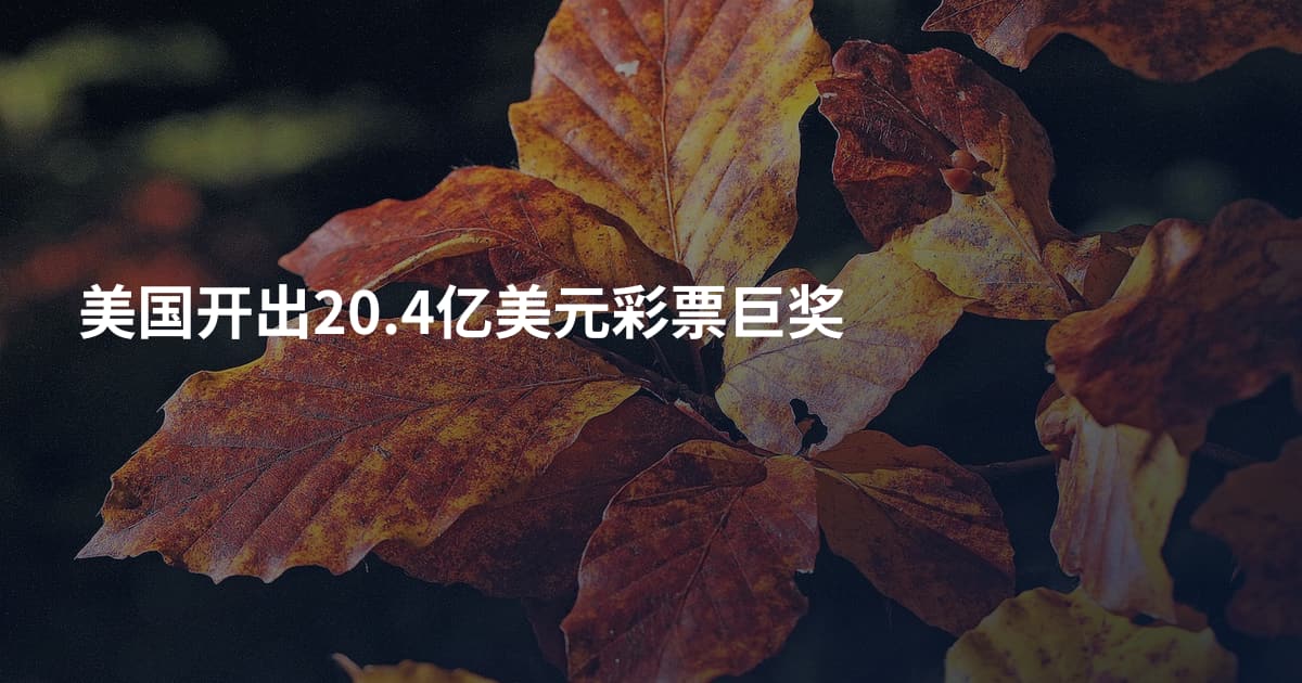 美国开出20.4亿美元彩票巨奖
