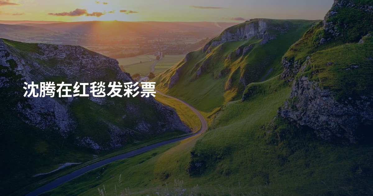 沈腾在红毯发彩票