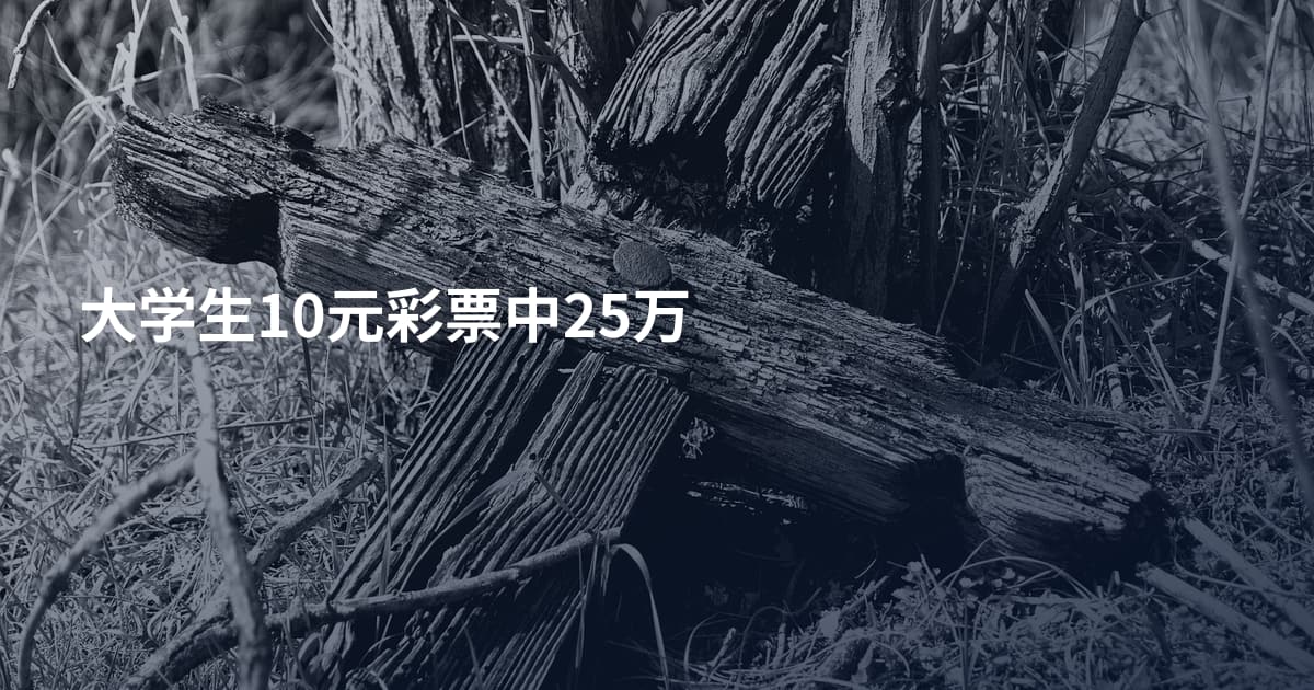大学生10元彩票中25万