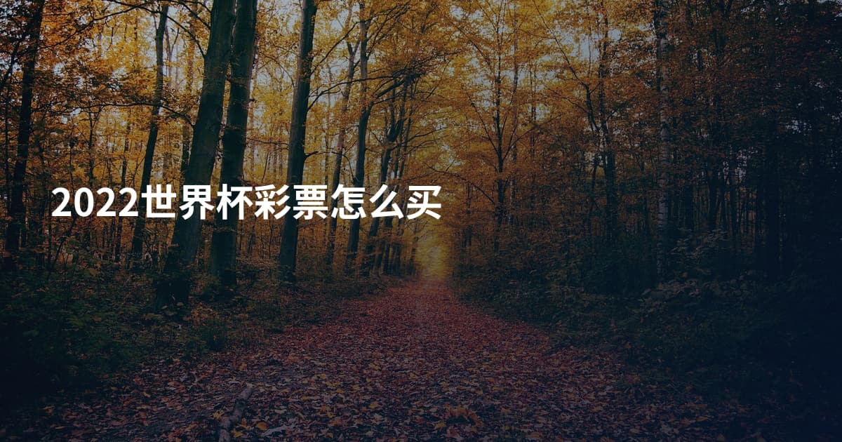 2022世界杯彩票怎么买