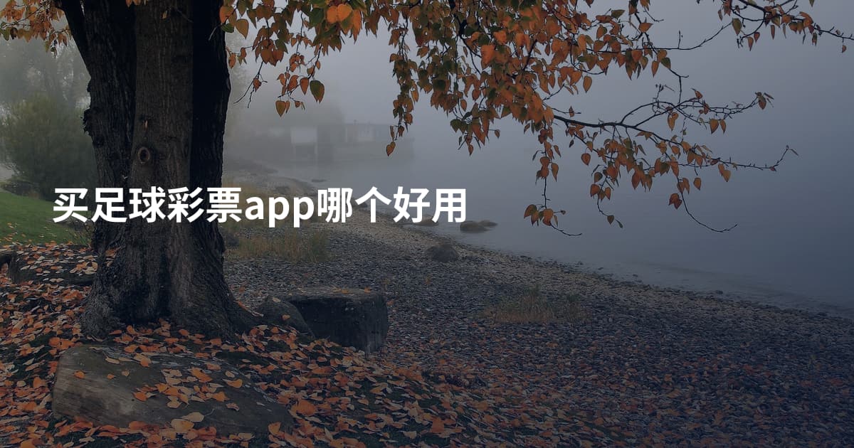 买足球彩票app哪个好用