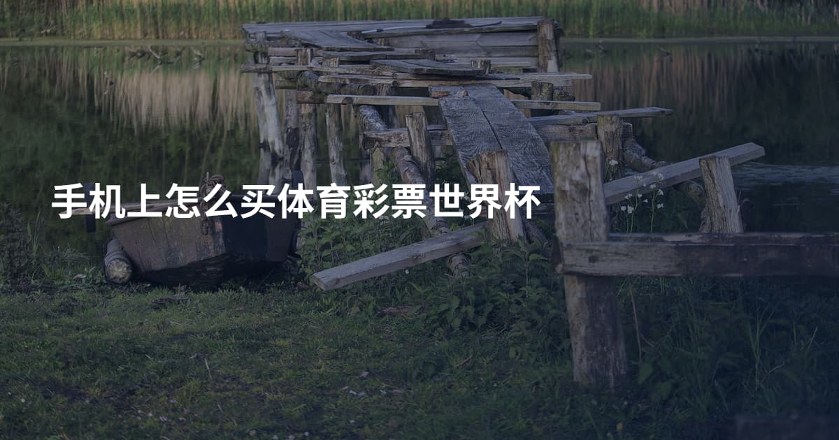 手机上怎么买体育彩票世界杯