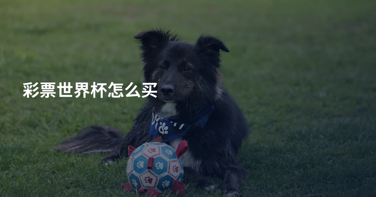 彩票世界杯怎么买