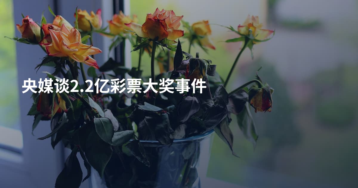 央媒谈2.2亿彩票大奖事件