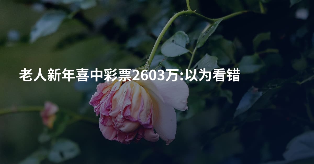 老人新年喜中彩票2603万:以为看错