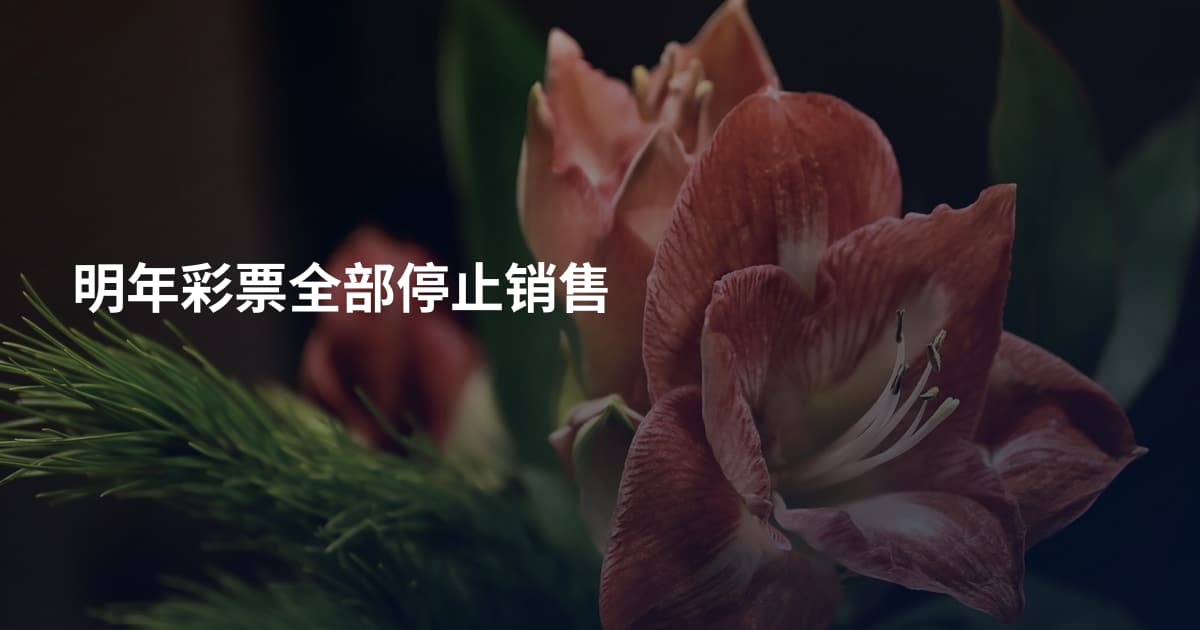 明年彩票全部停止销售