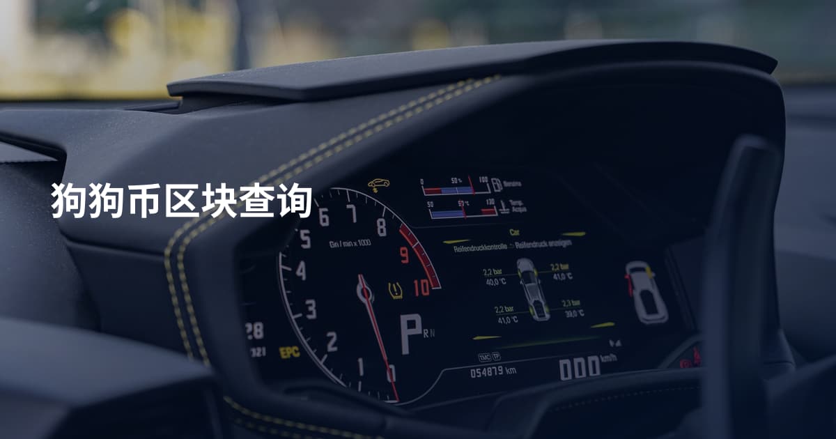 狗狗币区块查询