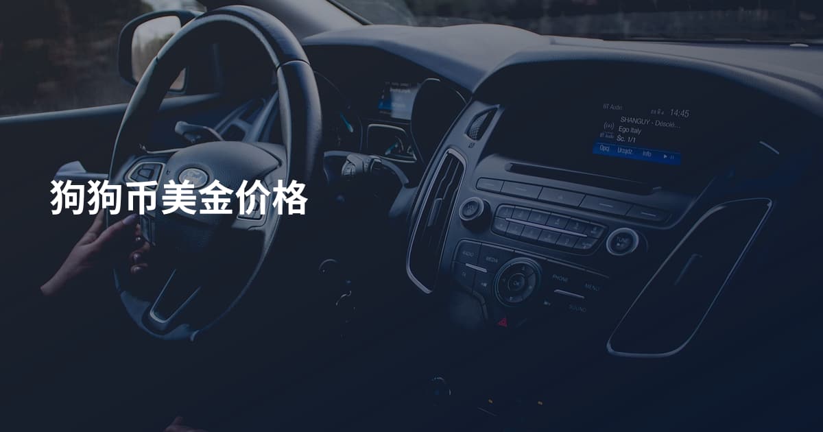 狗狗币美金价格