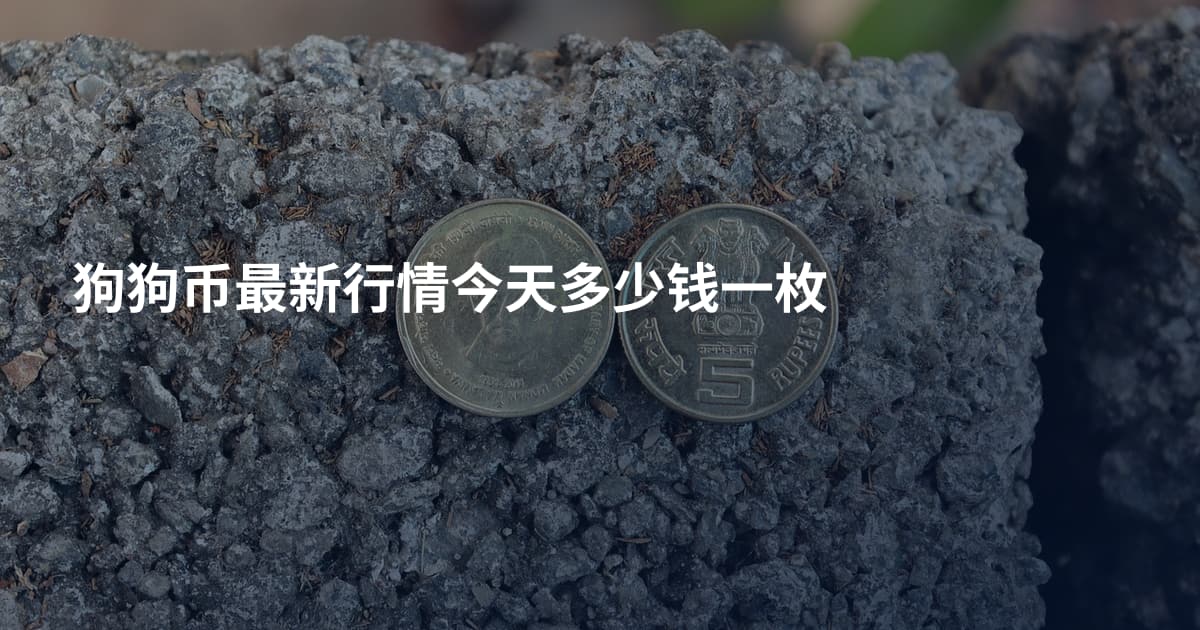 狗狗币最新行情今天多少钱一枚