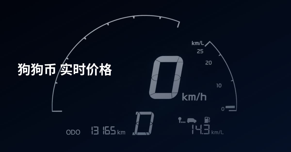 狗狗币 实时价格