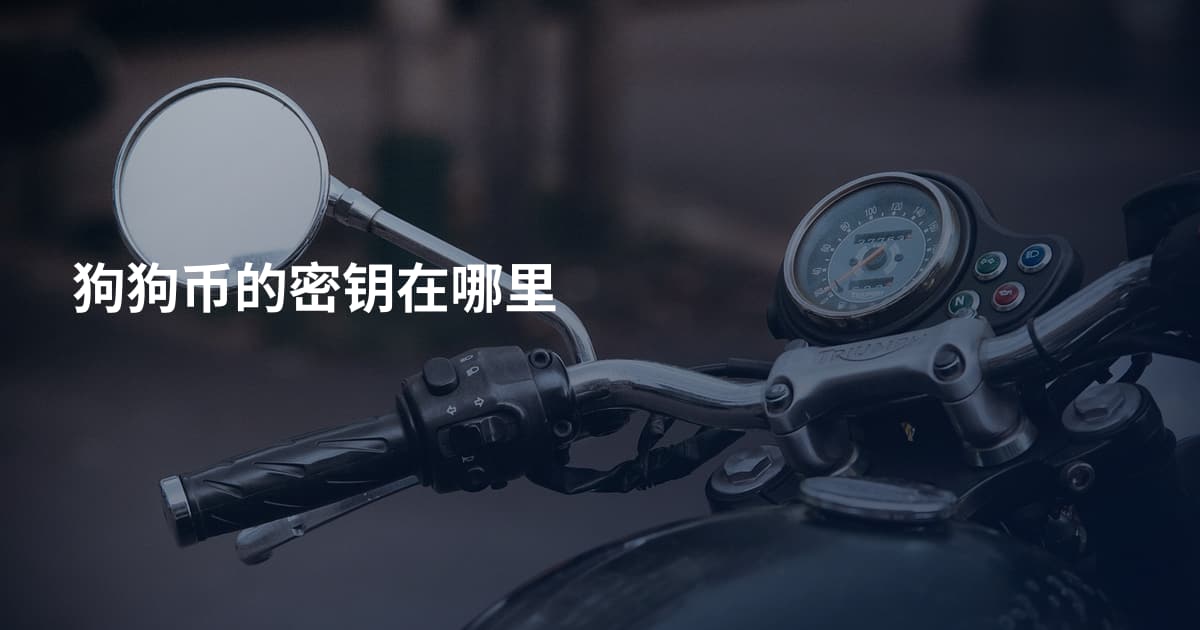 狗狗币的密钥在哪里