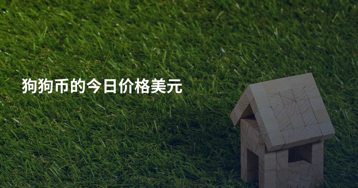 狗狗币的今日价格美元