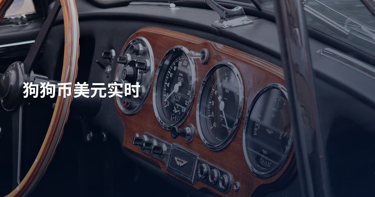 狗狗币美元实时