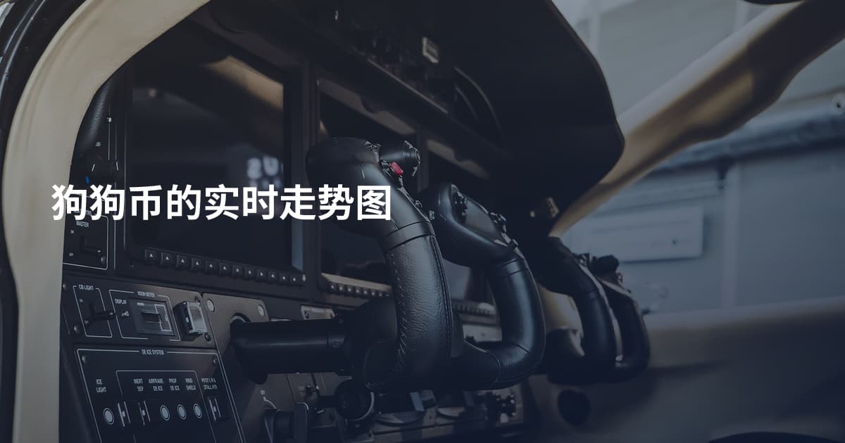 狗狗币的实时走势图