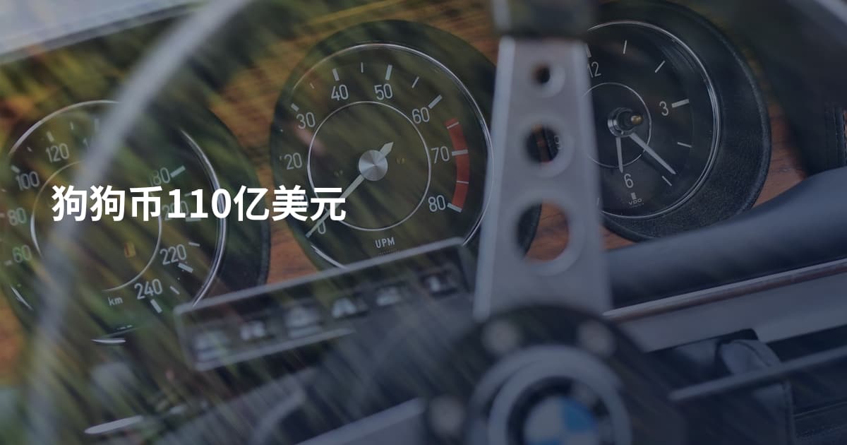 狗狗币110亿美元