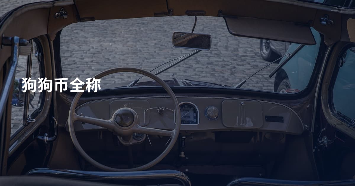 狗狗币全称