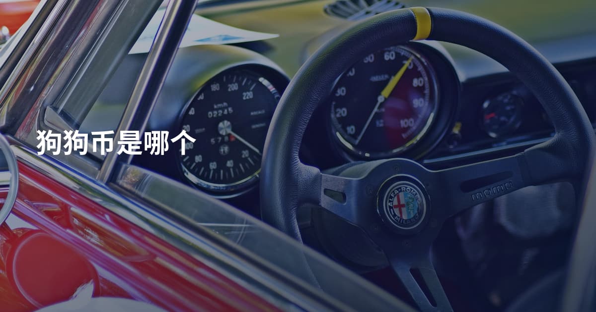 狗狗币是哪个