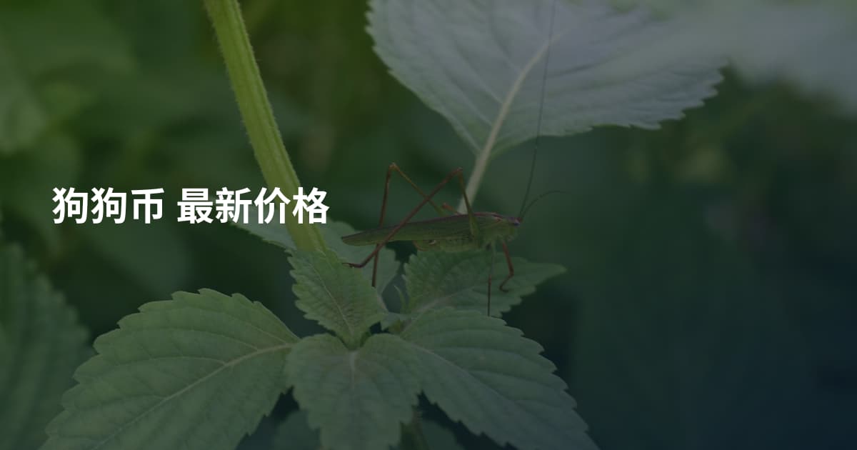 狗狗币 最新价格