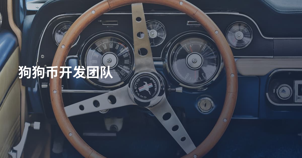 狗狗币开发团队