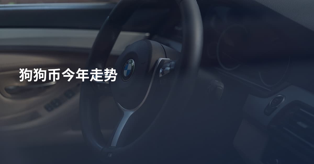 狗狗币今年走势